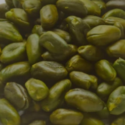 Green skinless Pistachio Kernel (10kg)