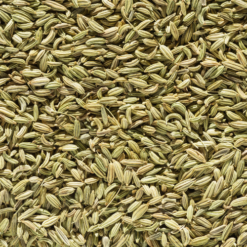 Fennel Seeds