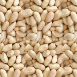 Blanched Peanuts (25kg) - Size 38/42