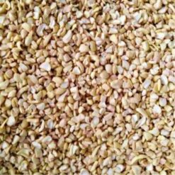 Broken Cashews – Small Pieces (22.68kg) – Premium Quality