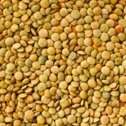 Green Lentils Whole (25kg)