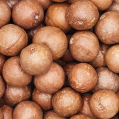 Macadamia In Shell (20kg)