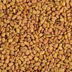Fenugreek (Methi) Seeds (25kg)