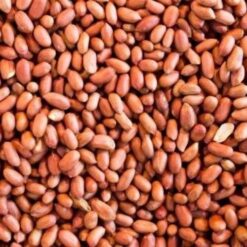 Peanuts with Skin (25kg) 40/50