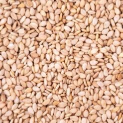 Sesame Seeds Natural (25kg)