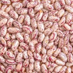 Speckled Pinto Beans (25kg)