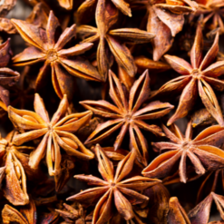 Star Anise